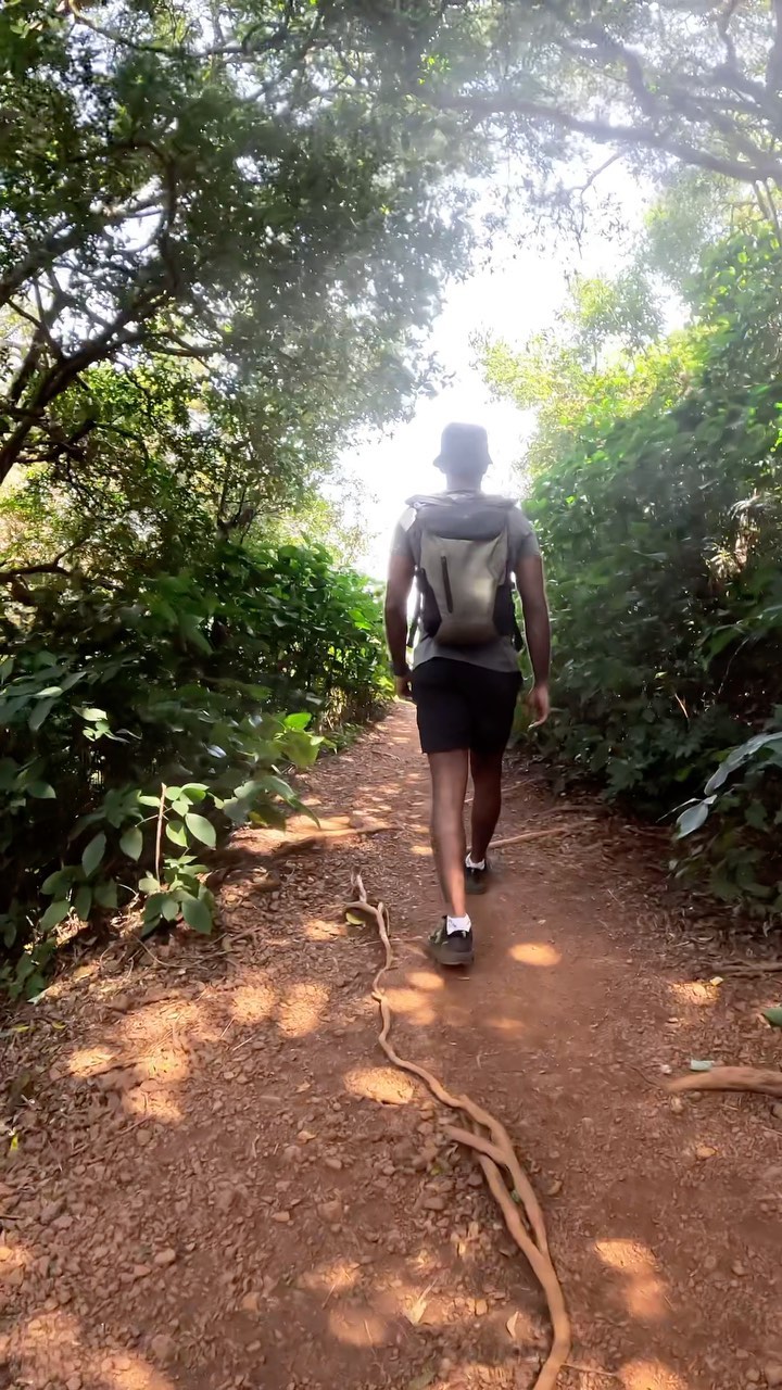 A trekker on a forest trail, from Wander Bros’ Kodachadri post